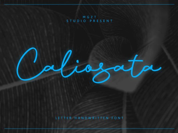 Caliosata: The Perfect Script Font for Polished Brand Identity