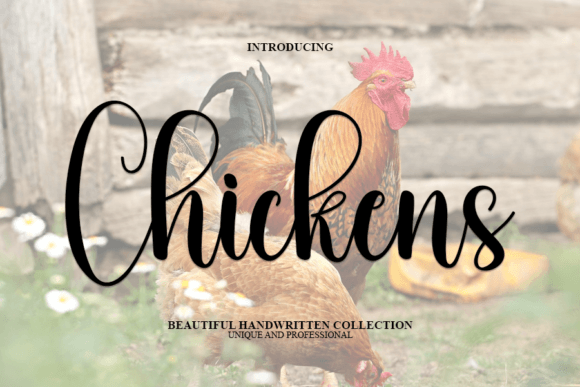 Chickens: A Delicate Handwritten Font for Unique Brand Identities