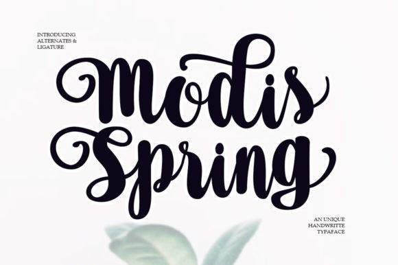 Modis Spring: The Elegant Handwritten Font for Modern Web Design